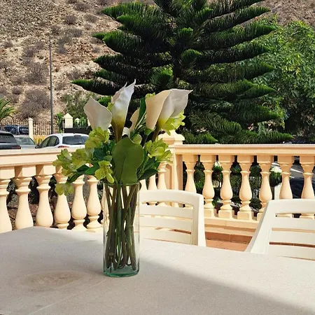 Casa Marie Palm-mar